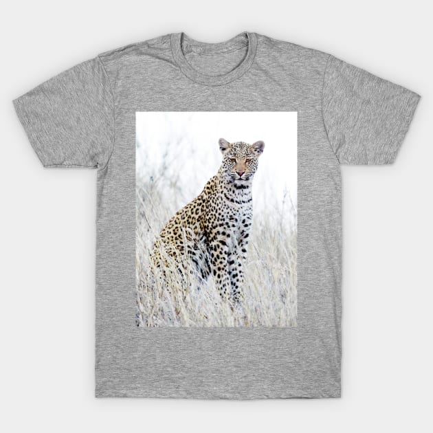 Young & Inquisitive T-Shirt by halimabeale